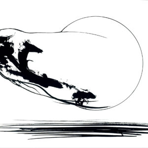 Beställ bilden! Falken av Dan Jonsson.