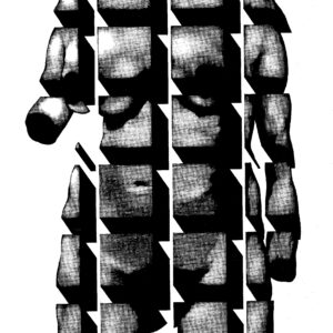 Beställ bilden! Kropp i kubik. Dan Jonsson. 1977.