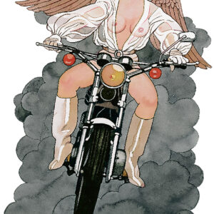 Beställ bilden! Full fart mot himmelen! Ur Femina 1970-tal