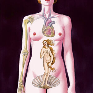 Beställ bilden! Nya ideal och 'Den nya kvinnans kropp', Jane Bark, 1990-tal.