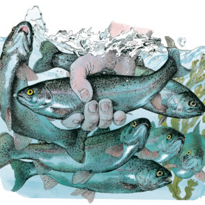 Beställ bilden! Alfa-Laval får första-pris i Genève för bästa annonskampanj i internationell affärspress. 1980-tal, Jane Bark.