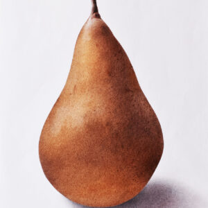 Signerat konsttryck! 'Kaiser Alexander' – päron i torrpastell av Molly Bark