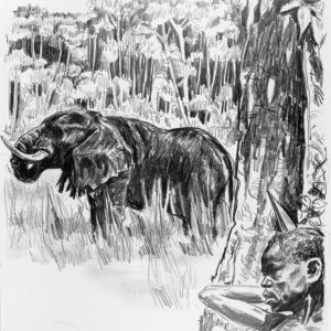 Beställ bilden! 'Elefantjägaren' – Elisa tecknar åt tidningen »Vår kyrka«, 1960-tal