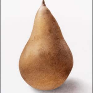 Beställ postern! Kaiser Alexander. Pyrus communis ’Bosc’ av Molly Bark